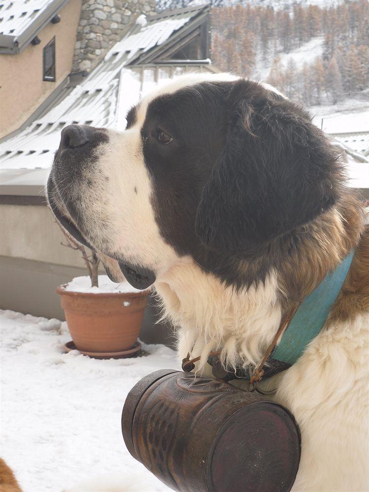 ホテル Chalet Saint Bernard モンジェネヴル エクステリア 写真